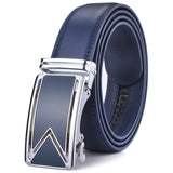 Brown Leather Belt (Auto. Buckle)