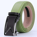 Brown Leather Belt (Auto. Buckle)
